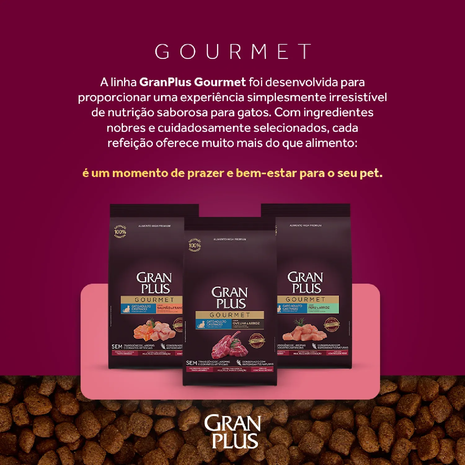 Racao GranPlus Gourmet Gatos Filhotes Salmao e Frango 1